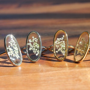 Könnte beinhalten: Vier goldene Ringe mit ovalen, durchsichtigen Harzfassungen, jede mit einer zarten, gepressten weißen Blume.