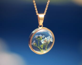 Real forget-me-not necklace mounted on gold plated