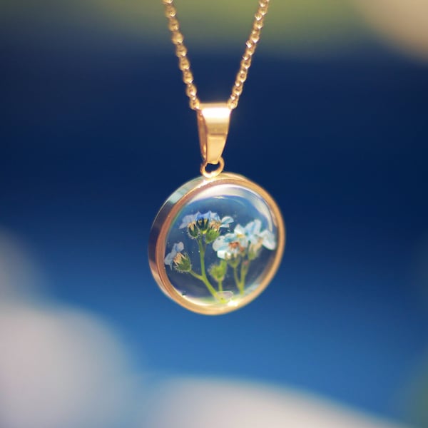 Real forget-me-not necklace mounted on gold plated