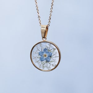 Genuine forget-me-not and Queen Anne's lace necklace mounted on adjustable gold-plated chain 42 to 50cm