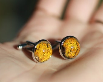 Resin lichen cufflinks / Men's suit accessory / Stylish cufflinks / Gift for him