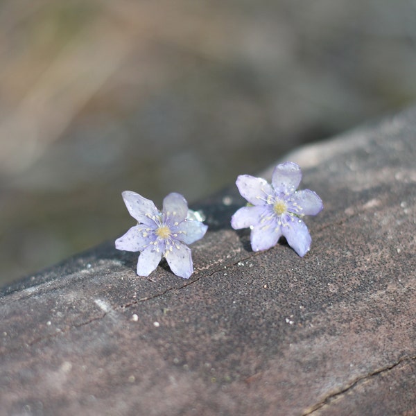 Boucles d'oreilles fleur / véritable anémone sauvage / fleur des bois / création unique