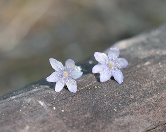 Boucles d'oreilles fleur / véritable anémone sauvage / fleur des bois / création unique