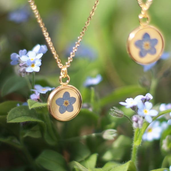 Real forget-me-not necklace mounted on an adjustable gold-plated chain