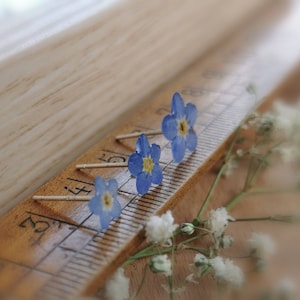 May include: Four blue forget-me-not flowers with yellow centers are attached to thin silver pins. The pins are arranged on a wooden ruler with markings in inches.