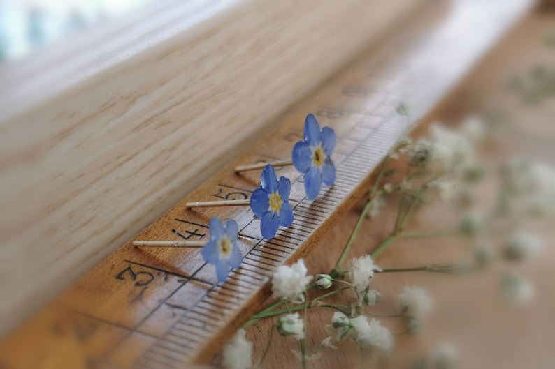May include: Four blue forget-me-not flowers with yellow centers are attached to thin silver pins. The pins are arranged on a wooden ruler with markings in inches.