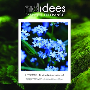 May include: A close-up of a cluster of blue forget-me-not flowers. The flowers are in focus, while the green foliage is blurred in the background. The text "MYOSOTIS - Fid&eacute;lit&eacute; & Amour &eacute;ternel" and "FORGET ME NOT - Fidelity & Eternal love" is visible below the image.