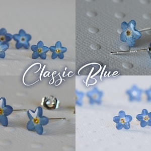 May include: A pair of blue forget-me-not flower earrings with silver posts. The flowers are delicate and have a yellow center. "Classic Blue" is written in cursive below the earrings.