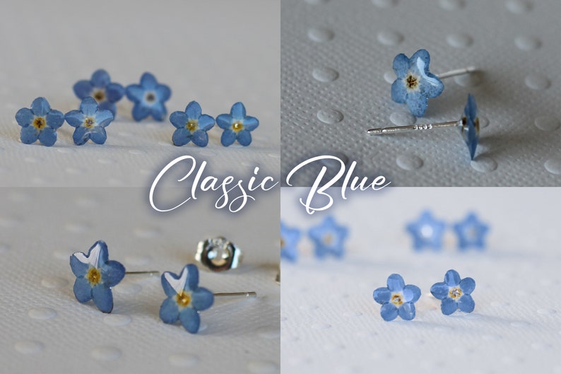 Real forget-me-not earring mounted on S925 silver Classic Blue