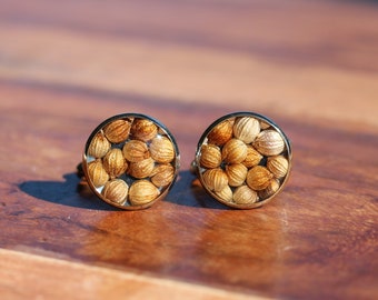 Real seeds cufflinks / Resin and seeds men's accessory / Elegant cufflinks / Gift for him