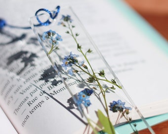 Marque page myosotis alpin