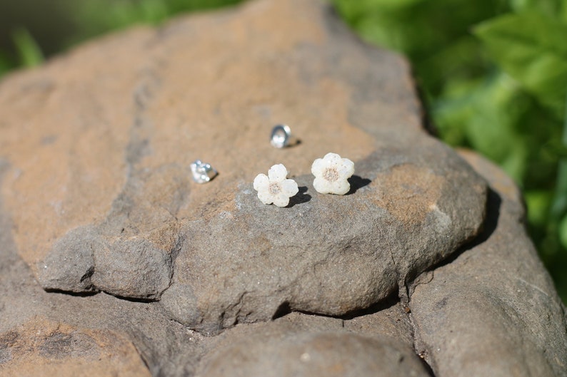 Boucle d'oreille véritable petite fleur blanche monté sur argent S925 image 3