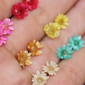 Peut inclure: Une collection de boucles d'oreilles en fleurs séchées de différentes couleurs, dont le rose, le jaune, le blanc et le bleu. Les boucles d'oreilles sont présentées sur une main.