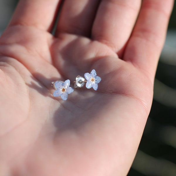 Boucle d'oreille véritable myosotis monté sur argent S925