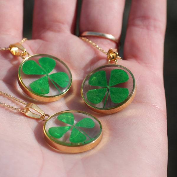 Real 4-leaf clover necklace mounted on a gold-plated chain