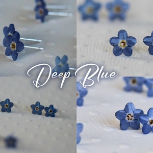 Real forget-me-not earring mounted on S925 silver Dark Blue