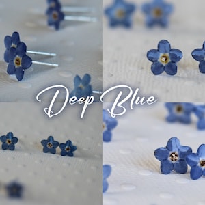May include: A pair of earrings featuring small, deep blue forget-me-not flowers. The flowers are delicate and have a yellow center. The earrings are on a white background.