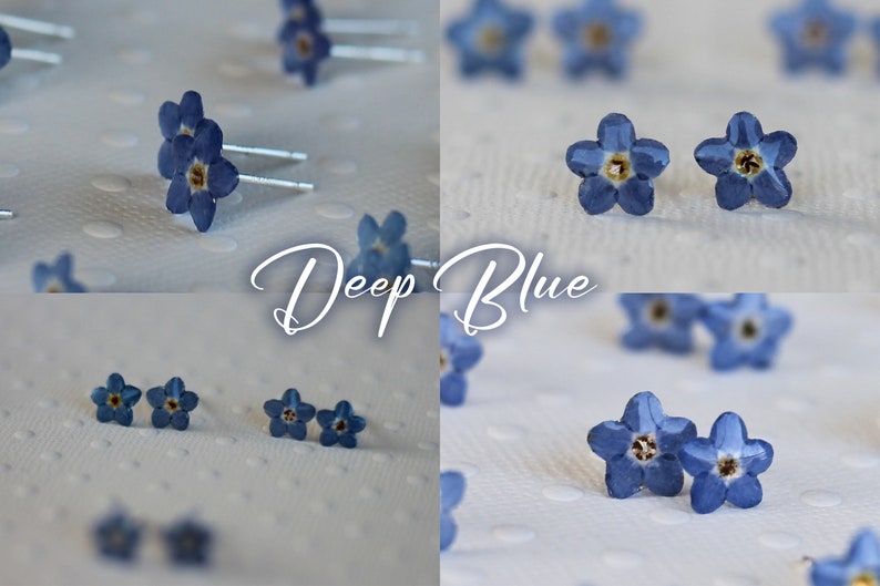 Real forget-me-not earring mounted on S925 silver Dark Blue