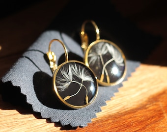Make a wish real jewelry / gold plated or silver steel French designer / Black background dandelion earrings / Dandelion resin