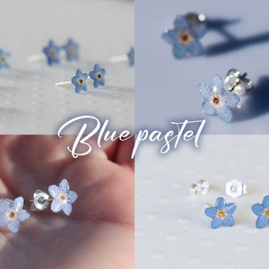 Real forget-me-not earring mounted on S925 silver Blue Pastel