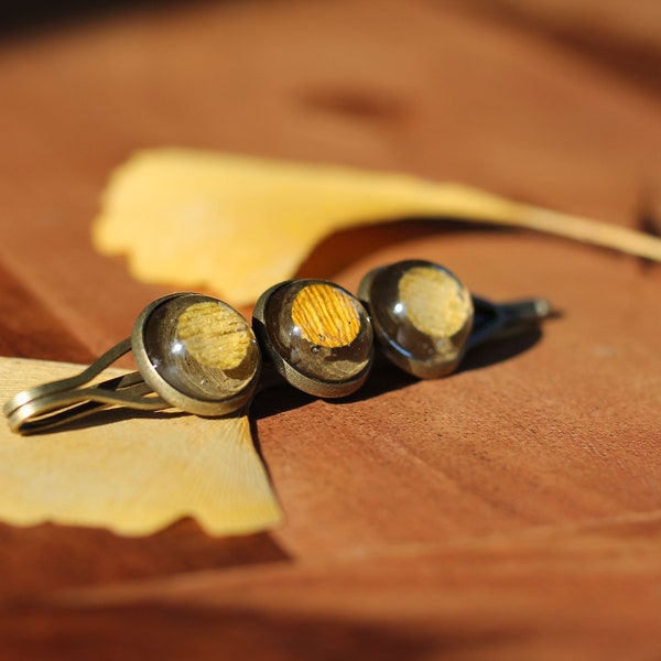 Barette ginkgo / real dried ginko / resin ginkgo / original hair accessory handmade in France