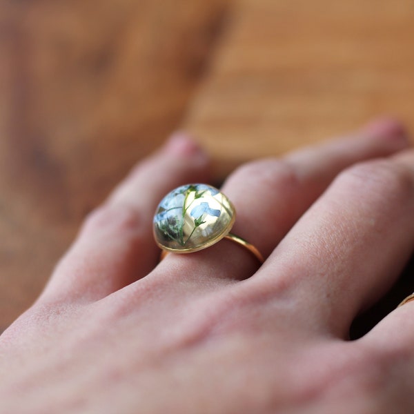Forget me not ring / Real forget-me-not ring / resin ring gift / transparent ring with nature detail / silver or gold plated of your choice