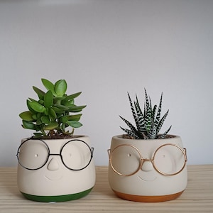 Concrete Face Indoor Planter with Glasses