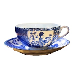 Puede incluir: Un juego de taza y platillo de té de porcelana azul y blanco con un diseño floral y una mujer sosteniendo flores.