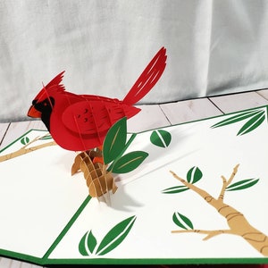 Carte pop-up cardinal rouge faite main, carte pop-up oiseau, carte à envoyer, carte d'anniversaire à offrir, carte d'anniversaire oiseau rouge