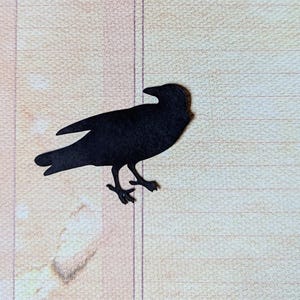 15 formes corbeau en papier cartonné noir, plusieurs tailles, parfaites pour le bricolage ou la décoration d'Halloween