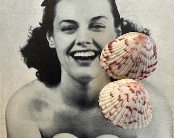 1940s Natural Seashell Screw Back Earrings Coastal Nautical Ocean Sea Fan Shell Beach Vintage Summer Resort Style Jewelry