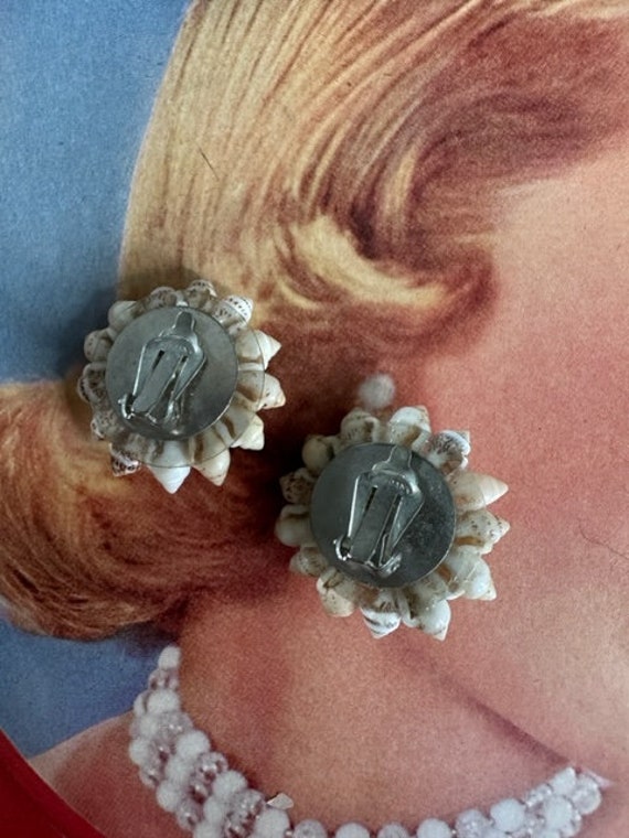 1940s Miniature Shell Earrings, Vintage Shell Ear… - image 5