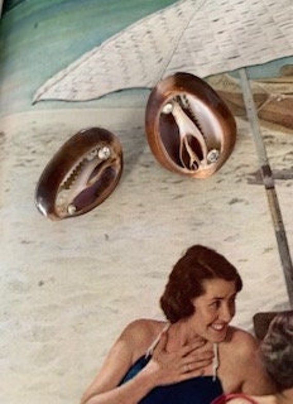 Cowrie Seashell Vintage Screw back Earrings, Cowri