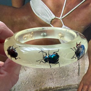 1970s Clear Lucite Insect Bangle Bracelet Real Bug Embedded Statement Vintage Nature Jewelry