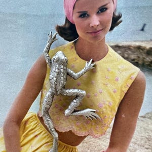 May include: A silver frog brooch with detailed texture is featured. The frog is positioned on a yellow crop top with pink floral accents and a matching skirt. A pink headband and bracelet complete the ensemble, set against a beach backdrop.