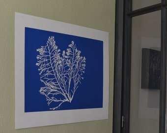 Tirage d'art/Oeuvre numérotée&signée/Édition limitée/Impression artisanale / Affiche nature bleue/Anna Atkins/Sérigraphie/fine art/wall art