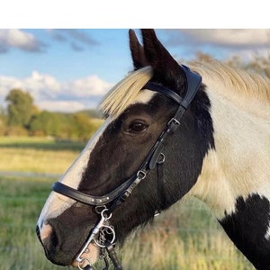 Anatomical Snaffle MultiBridle Bitted Bitless Bridle Grip Reins Padded Poll Relief Black Brown Leather Pony Cob Full Horse Jumping dressage
