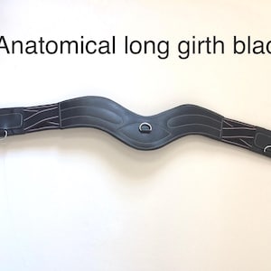 Padded Leather Anatomical Horse Long Girth: Elasticated Jumping Girth