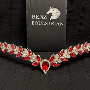 May include: A decorative horse browband featuring red and clear crystals in a leaf design. The browband has a central teardrop-shaped red stone. The background includes a black bag with the text "BENZ EQUESTRIAN".