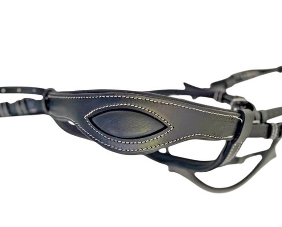 Autumnn Equestrian Leder-Komfort-Trense – Gepolstert, Bling, Mit Gummizügeln & Blitz – Dressur Autumnn Equestrian Leder-Komfort-Trense – Gepolstert, Bling, Mit Gummizügeln & Blitz – Dressur