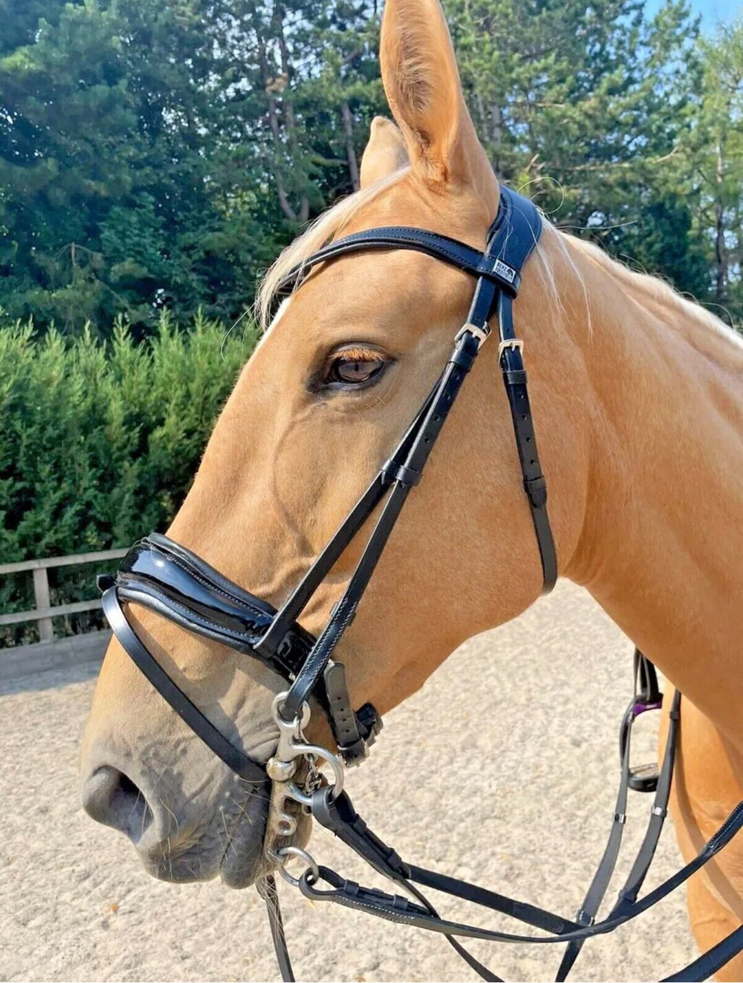 anatomical headpiece bridle