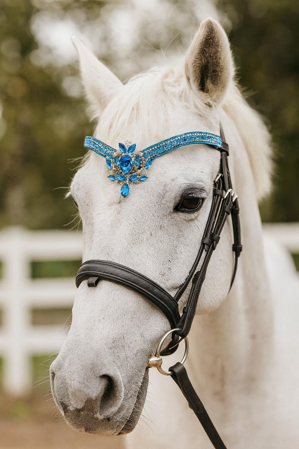 Sellerie equestre - Fleur de cuir sellier harnacheur