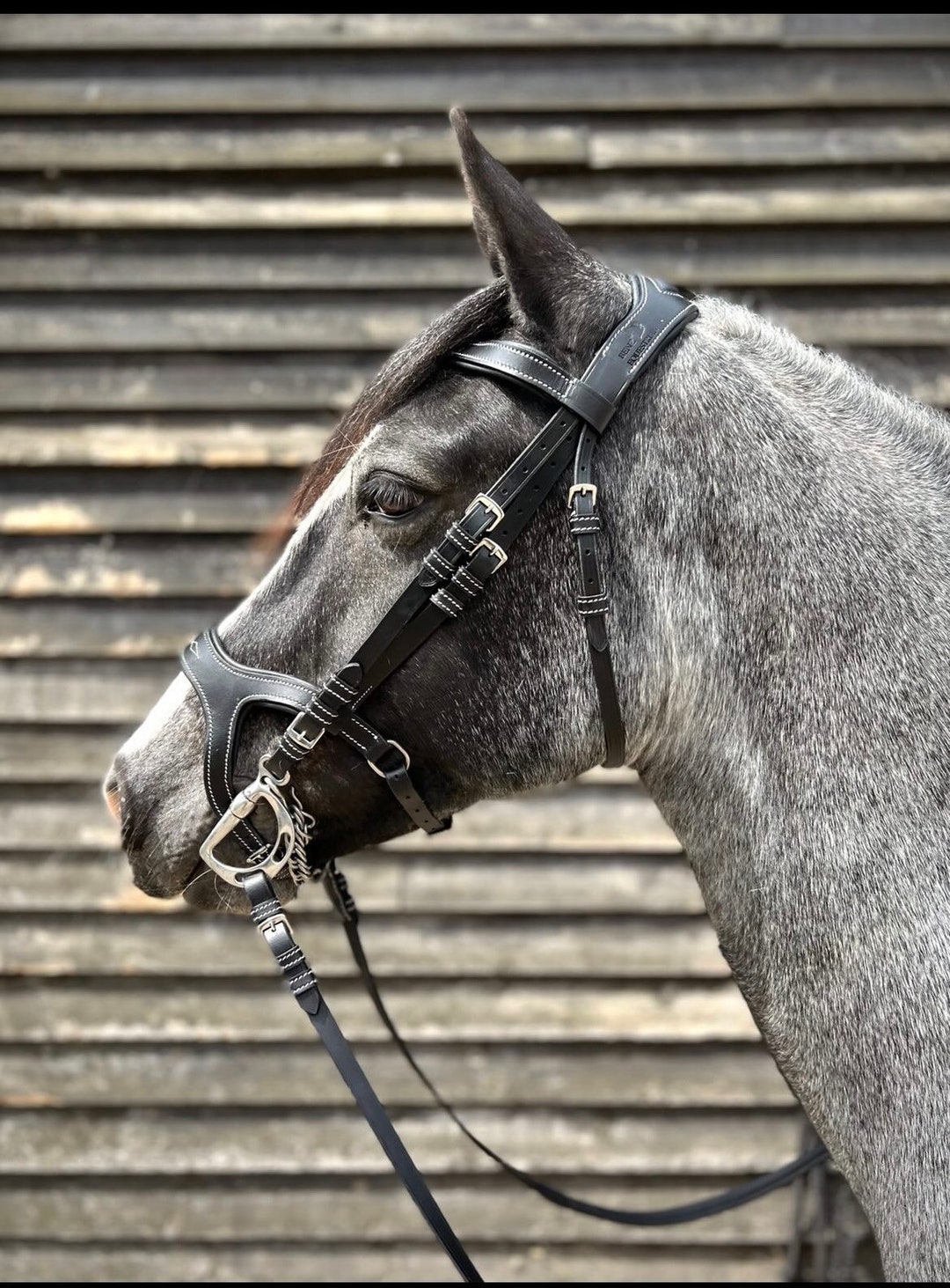 anatomical headpiece bridle