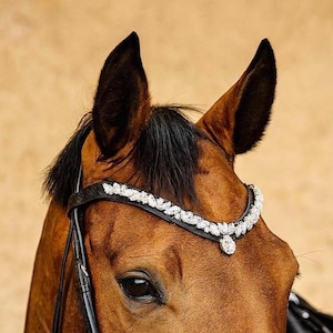Puede incluir: Primer plano de la cabeza de un caballo marrón con una brida negra y una frontalera decorativa de cristal brillante. El caballo tiene orejas negras y una crin negra. El fondo es de color beige neutro.