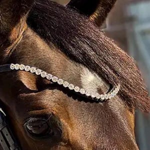 Crystal Curve Browband: Black Leather Horse Bridle - Cob/Full/XFull
