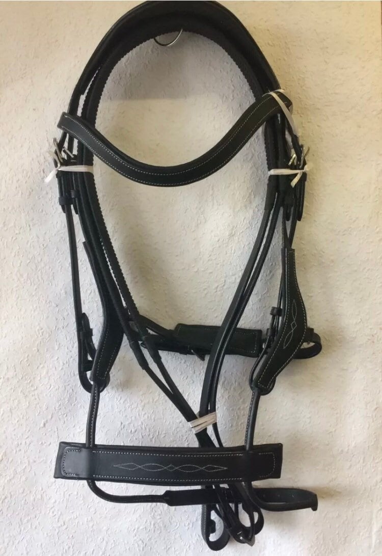 Grayson Briglia anatomica, pelle nera