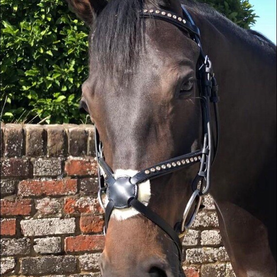 ZAIN TACK Real Leather Grackle Noseband Bridle – Full, Cob, And Pony Sizes