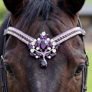 Frontalera en forma de V de cristal con forma de lágrima transparente, color amatista, morado, ciruela, lavanda y plata, de cuero negro con cierre de presión rápido