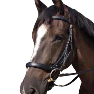 Anatomical Snaffle Multi-Bridle Bitted/Bitless Breathable Headpiece Padded Poll Relief Black and Brown Leather pony Cob and full size horse