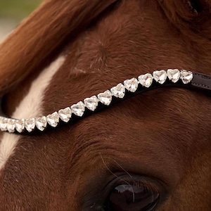 Puede incluir: Un caballo marrón con una cabezada de cuero negro con una fila de piedras de cristal en forma de corazón.
